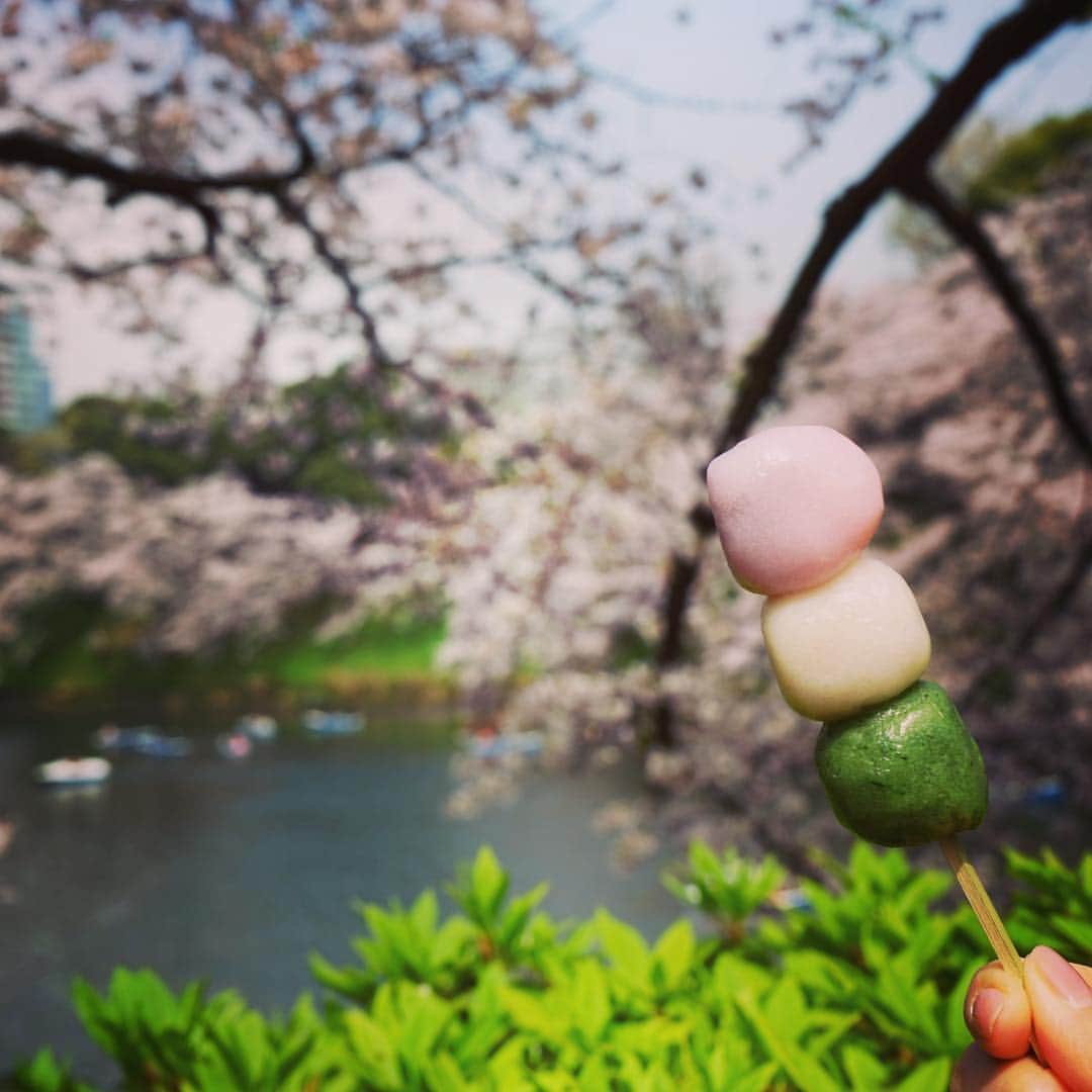 笛木優子のインスタグラム：「🍡🌸」