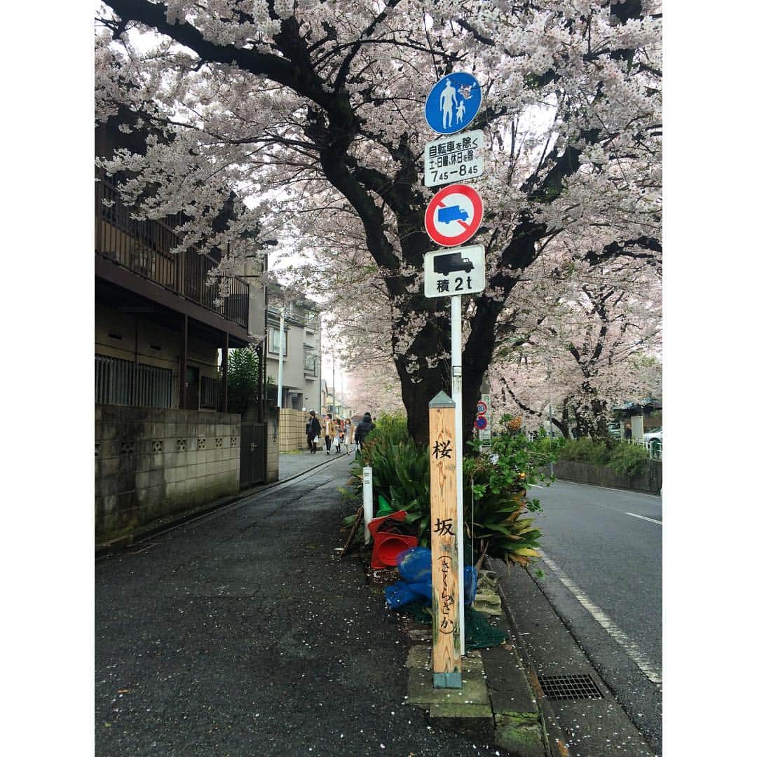 小野寺奈々のインスタグラム：「桜坂の舞台になったところだって😳 やばめ！  #桜坂 #福山雅治 #多摩川」