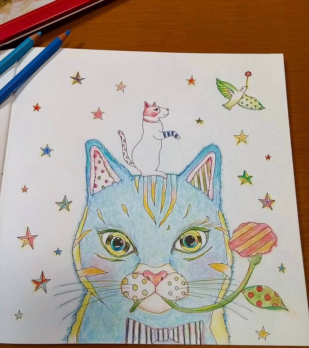 三宅裕子さんのインスタグラム写真 - (三宅裕子Instagram)「大人の塗り絵やってみた(^_^)❤ 描く行程よりぬる方が楽しいw #大人のぬりえシリーズ #ねこのマリーとゴールド #幸せの花をさがす旅 #ねこ #cat #色鉛筆 #ぬりえ」3月16日 14時56分 - yuko_miyake