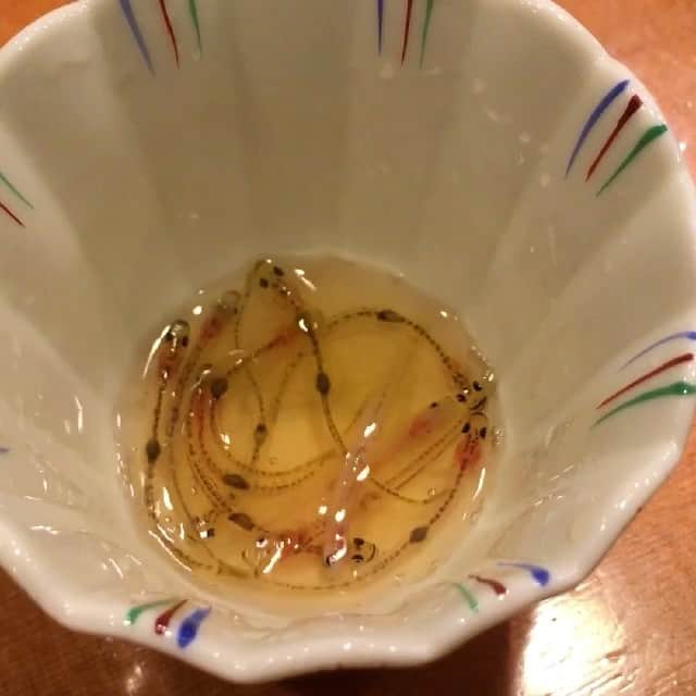 Sayaka.Mのグルメインスタ