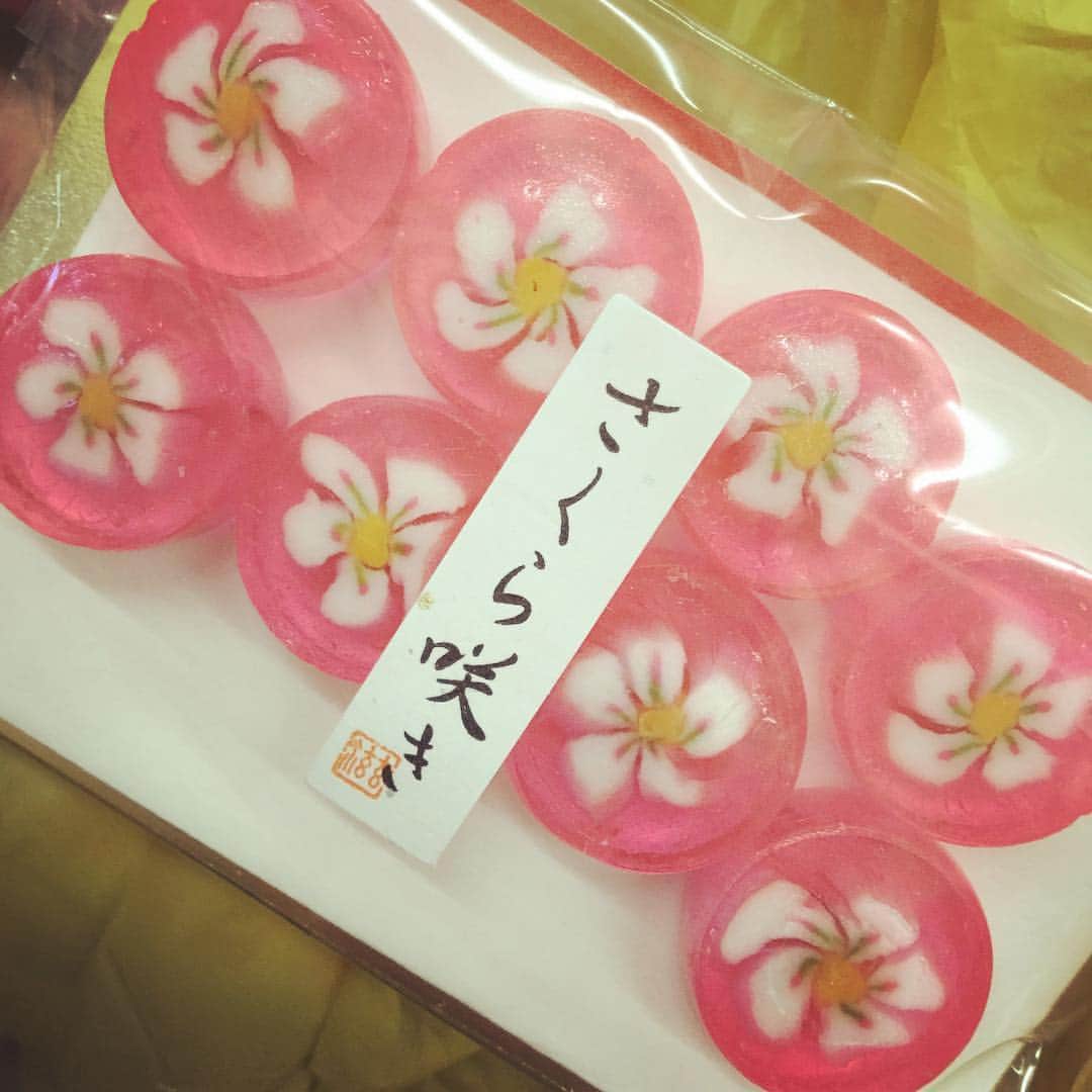 太宰ガロのインスタグラム：「桜の飴玉」