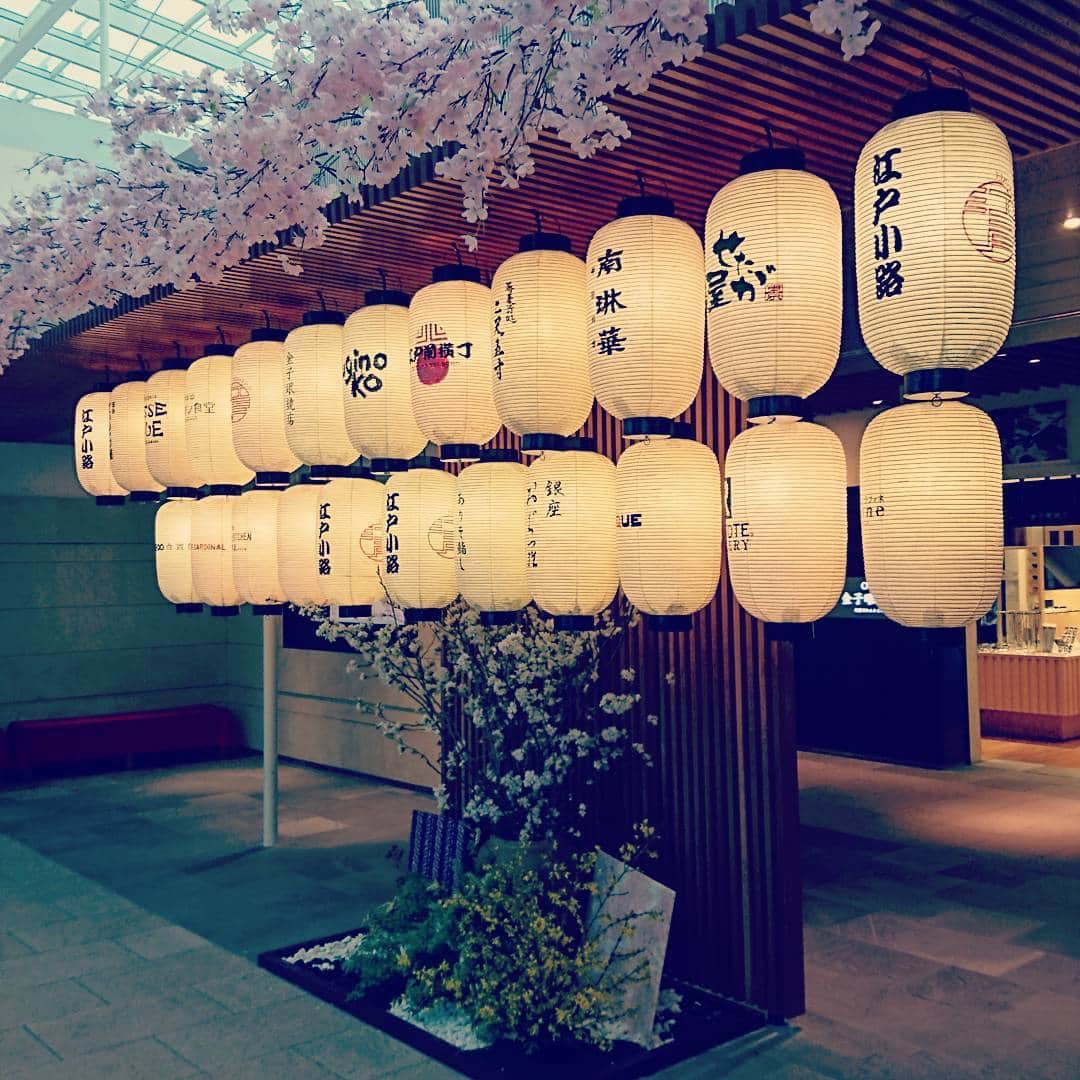 Tokyo_Osaka_Japan TouristGuideのインスタグラム：「#haneda #tokyo #sakura」
