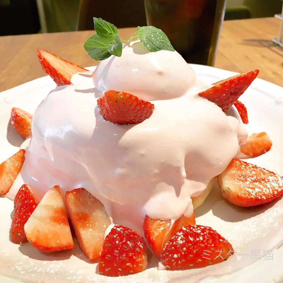 ミスター黒猫（黒猫仙人）のグルメインスタ