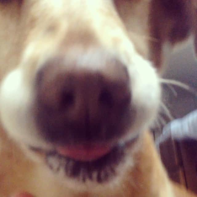 内田 菜々のインスタグラム