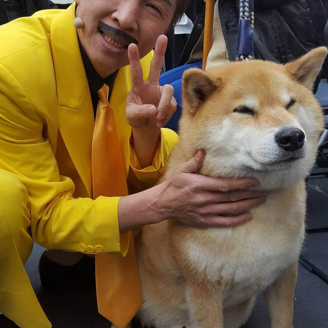 荒木良明さんのインスタグラム写真 - (荒木良明Instagram)「柴犬まるちゃんと共演😊　世界的有名犬(ｲﾝｽﾀﾌｫﾛｱｰ数、240万人❗)」3月27日 13時41分 - mizutamareppu