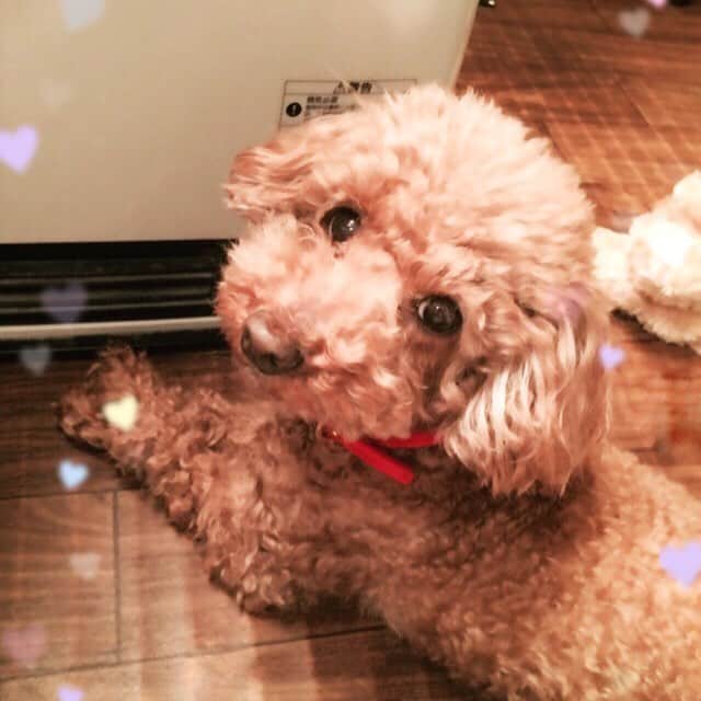宮下まゆかのインスタグラム