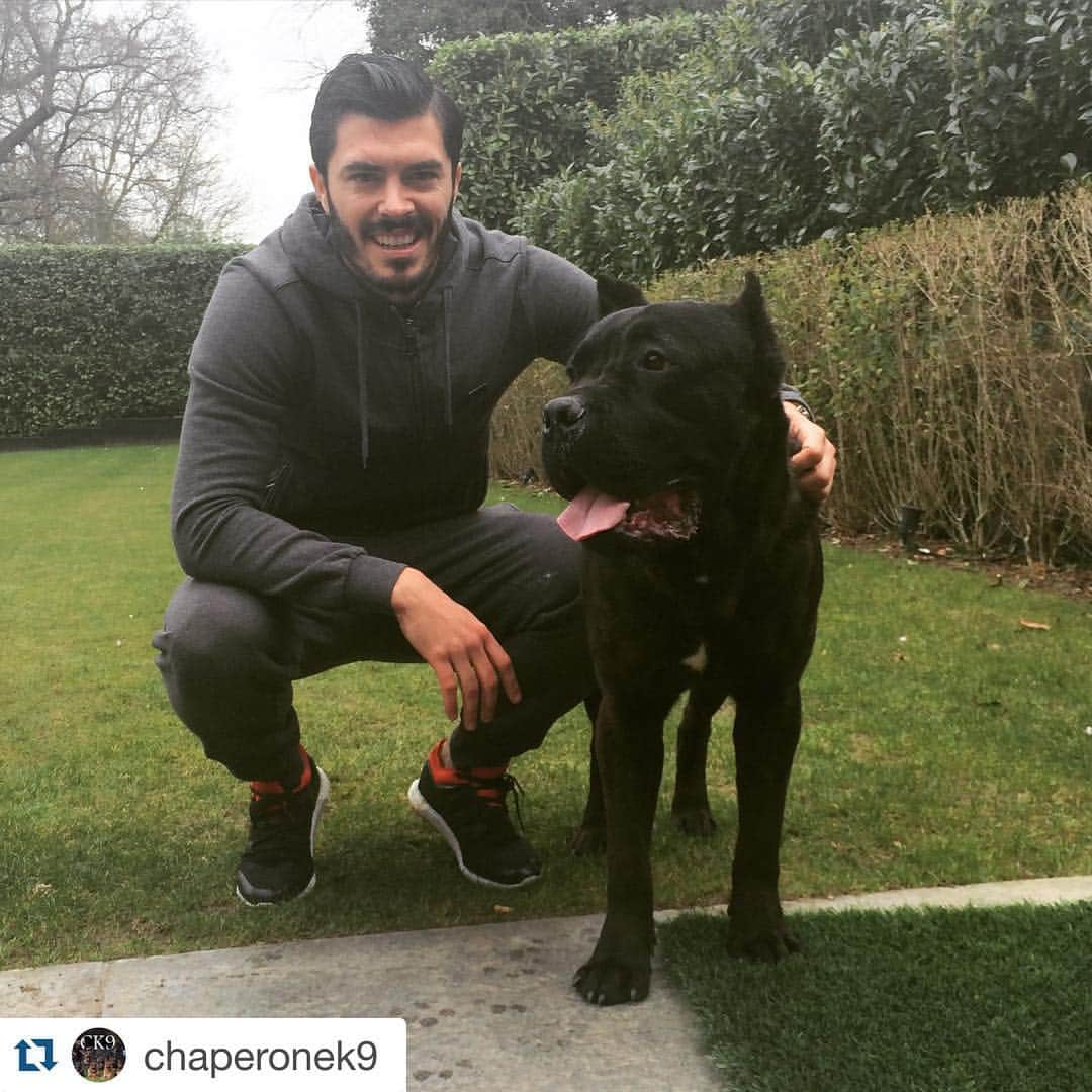 ジェームズ・トムキンスのインスタグラム：「#Repost @chaperonek9  CK9 Prince visiting his owner yesterday. @tomkinsofficial look forward to our next visit pal 👍🏻 @whufc_official @chaperonek9  #chaperonek9 #ck9 #canecorso #CaneCorsoLovers #whufc #familyprotectiondog #premierleague #defender #beast #power #family #pet #dogtraining」