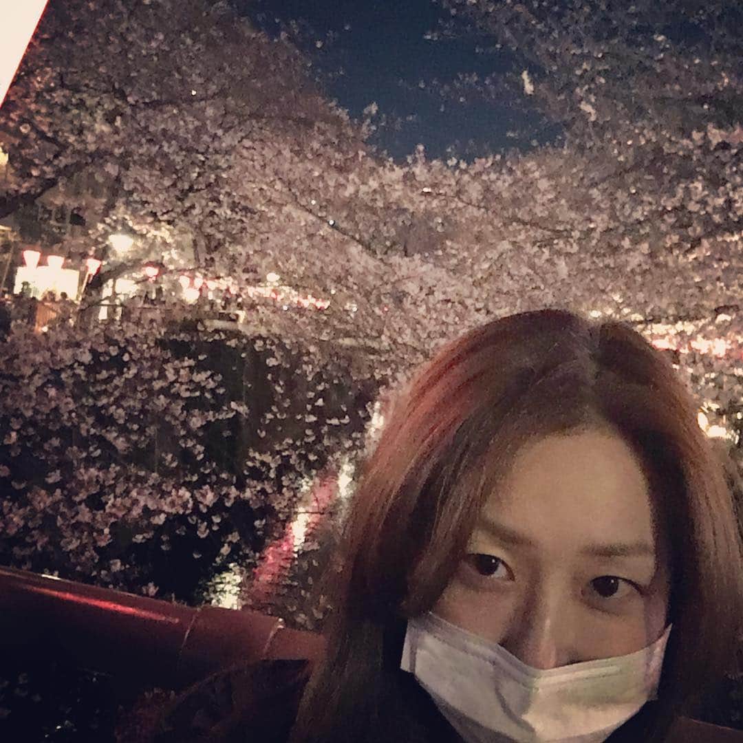 笛木優子のインスタグラム：「まだ五分咲き？？！ これから毎日花見だな🌸🌸🌸🌸🌸 お花見の際は暖かくして出掛けてね💕 #目黒川#桜#花見」