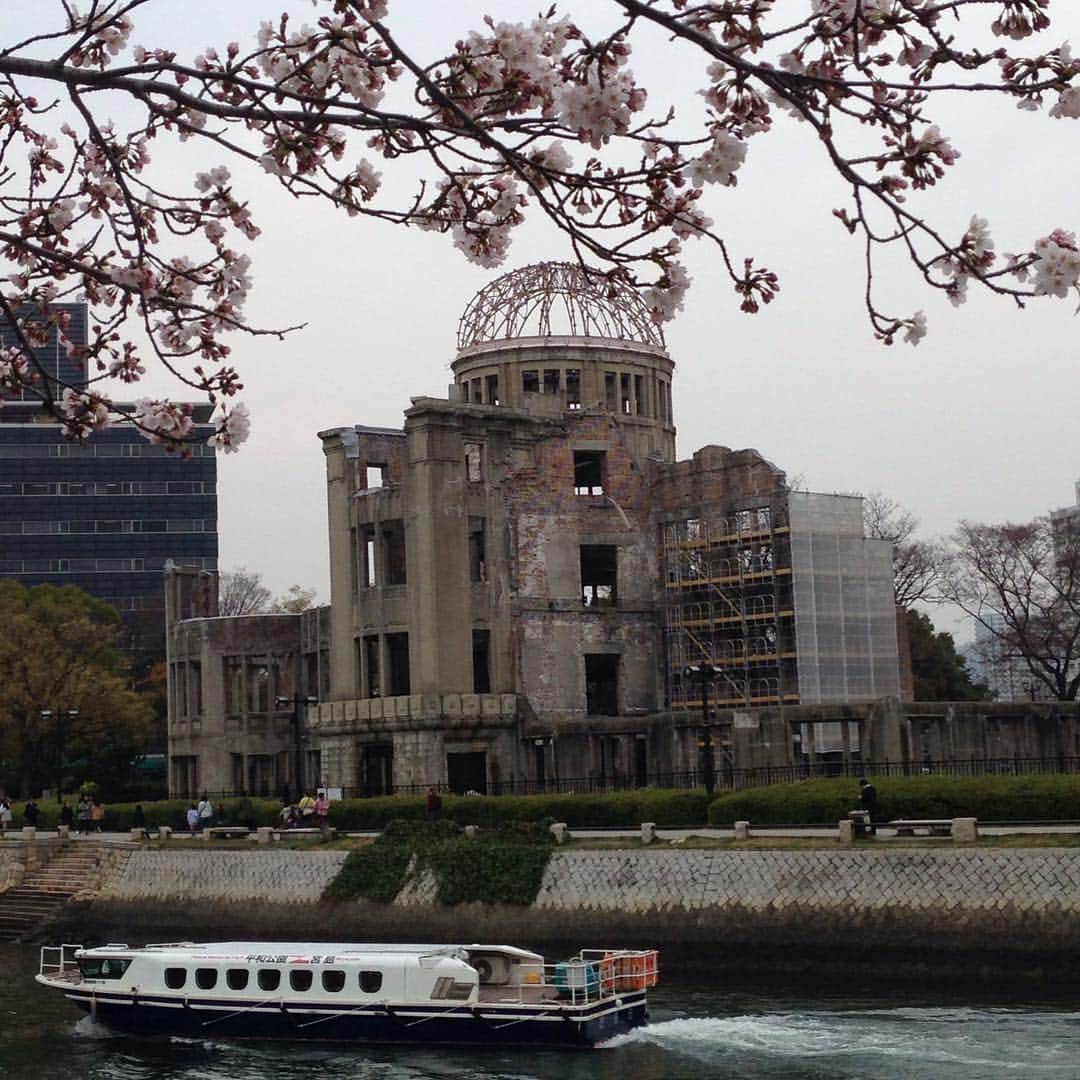 久保田智子さんのインスタグラム写真 - (久保田智子Instagram)「広島の桜もあと少しで満開です。#hiroshima #nomorehiroshima #peacememorialpark」3月31日 16時17分 - kubota_tomoko