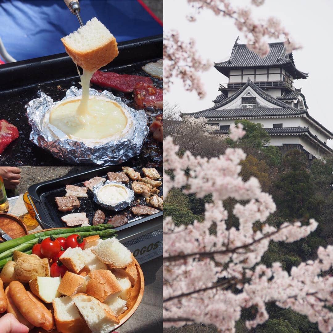namiのインスタグラム：「2016/3/31 木 ・ 今日は犬山の方へデイキャンプへ୧⍢⃝୨ ・ BBQとやってみたかったチーズフォンデュ。 チーズとろ〜ん♡ 天気も良くて丁度いい気候の中、外で食べるご飯は美味しいな(∗ˊ꒵ˋ∗) ・ 時間もあったのでその後は犬山城にお花見へ。 桜もほぼ満開🌸 ちょっと冷や冷やものの天守閣からの景色はなかなかのもの。 ・ いっぱい食べて、歩いて、気持ちのいい一日でした〜◡̈⋆ ・」