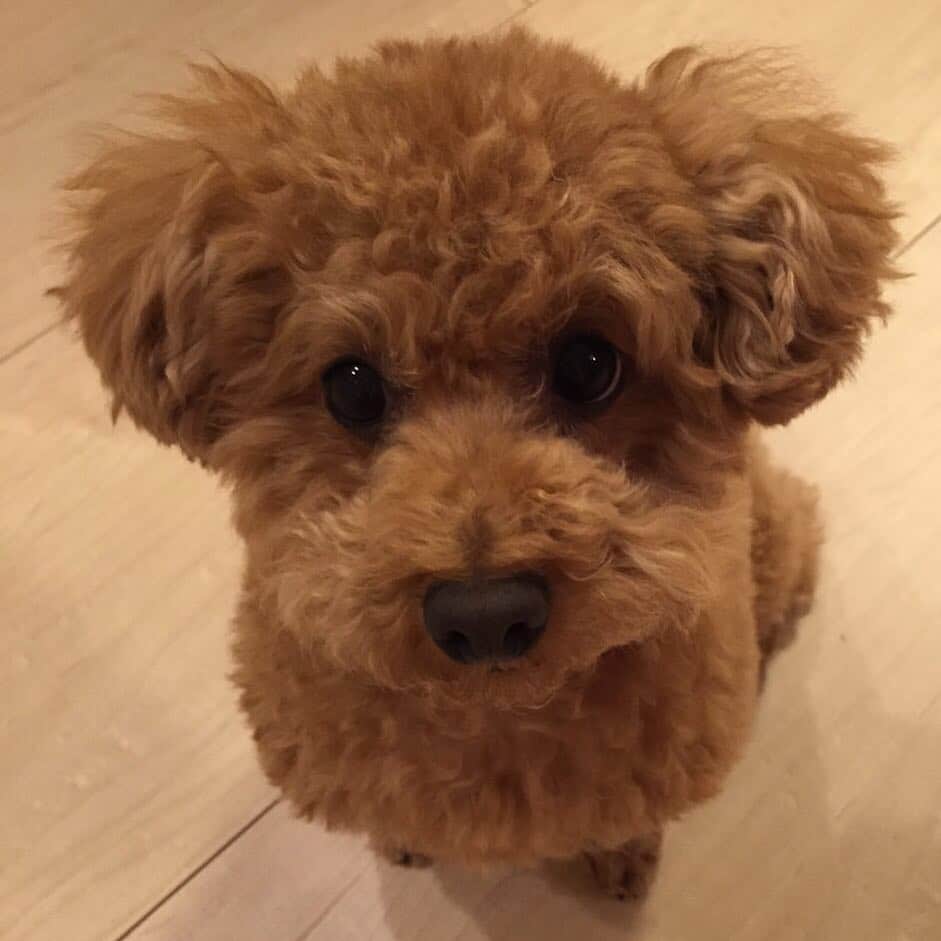 のインスタグラム：「後3日で会えるー😭😢💦 あろはーー😭 明日から出張😄#宮崎宣子 #あろは」