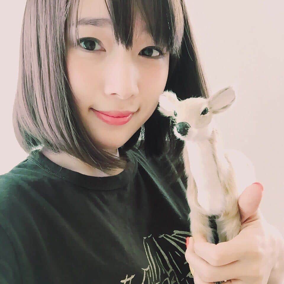 内田真礼のインスタグラム：「新しいペットのマルちゃん飼い始めました！鹿です。」