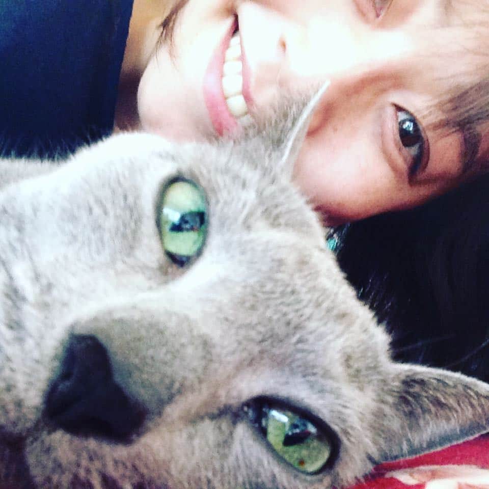久保田智子さんのインスタグラム写真 - (久保田智子Instagram)「昨夜愛猫のモネが脱走。雨の中探しましたが見つからず。午前３時にひょっこり戻ってきました。不良娘です。相当疲れたのかずっと膝の上で寝てます。#モネ #ロシアンブルー #russianblue」4月1日 13時16分 - kubota_tomoko