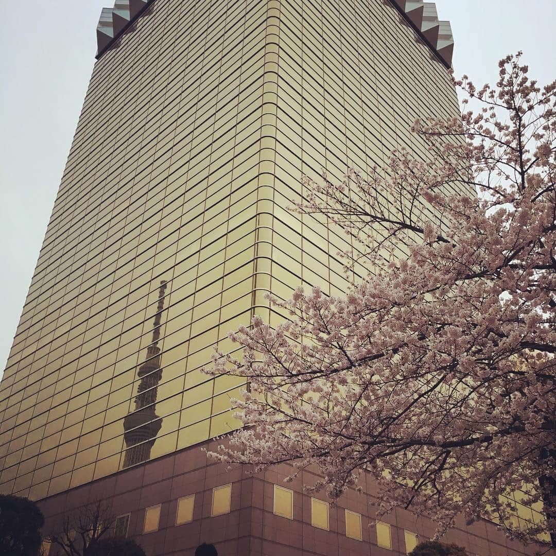 蒼山幸子さんのインスタグラム写真 - (蒼山幸子Instagram)「in 浅草。とても好きな場所。 春なんだなあって感じ。」4月2日 18時04分 - sachiko_aoyama