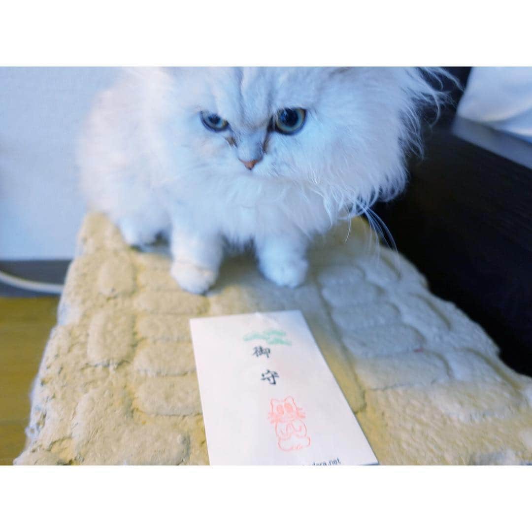 兎（尾崎紗代子）のインスタグラム