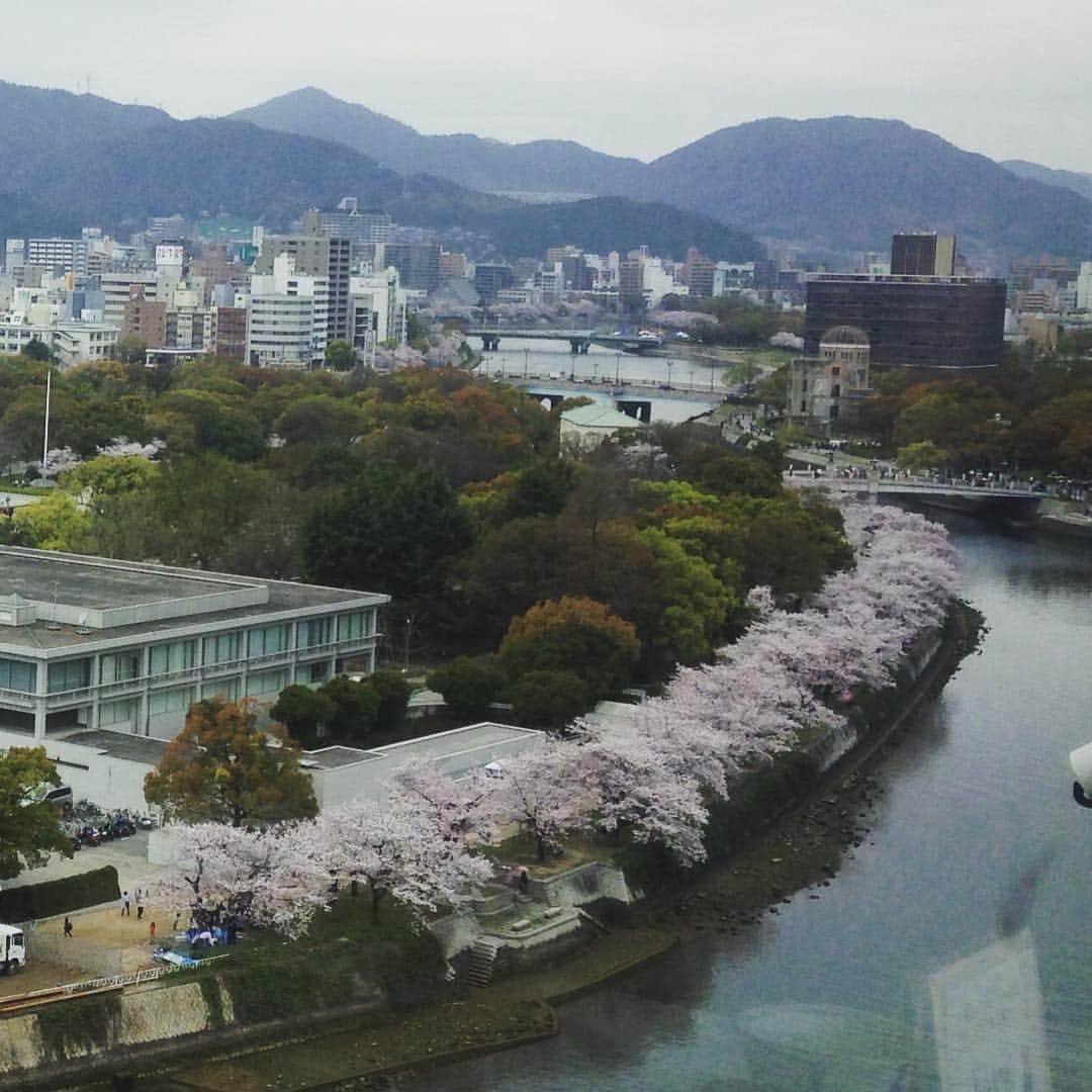 久保田智子さんのインスタグラム写真 - (久保田智子Instagram)「#さくら #cherryblossom #peacememorialpark」4月3日 15時38分 - kubota_tomoko