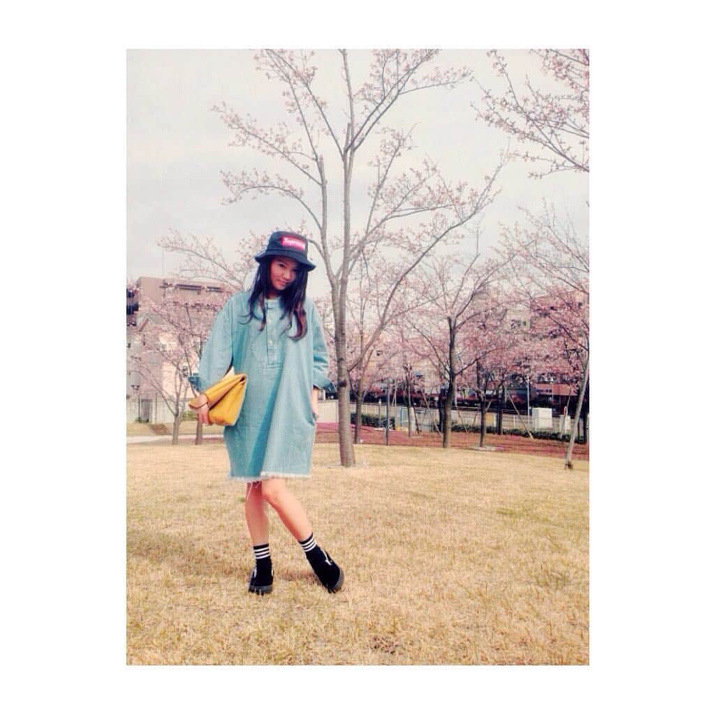 深沢あかりのインスタグラム：「🌸花見コーデ🌸 この前買ったmoussyのデニムワンピきたよ🌟 #160403 #お花見 #桜 #japan #cherryblossom #me」
