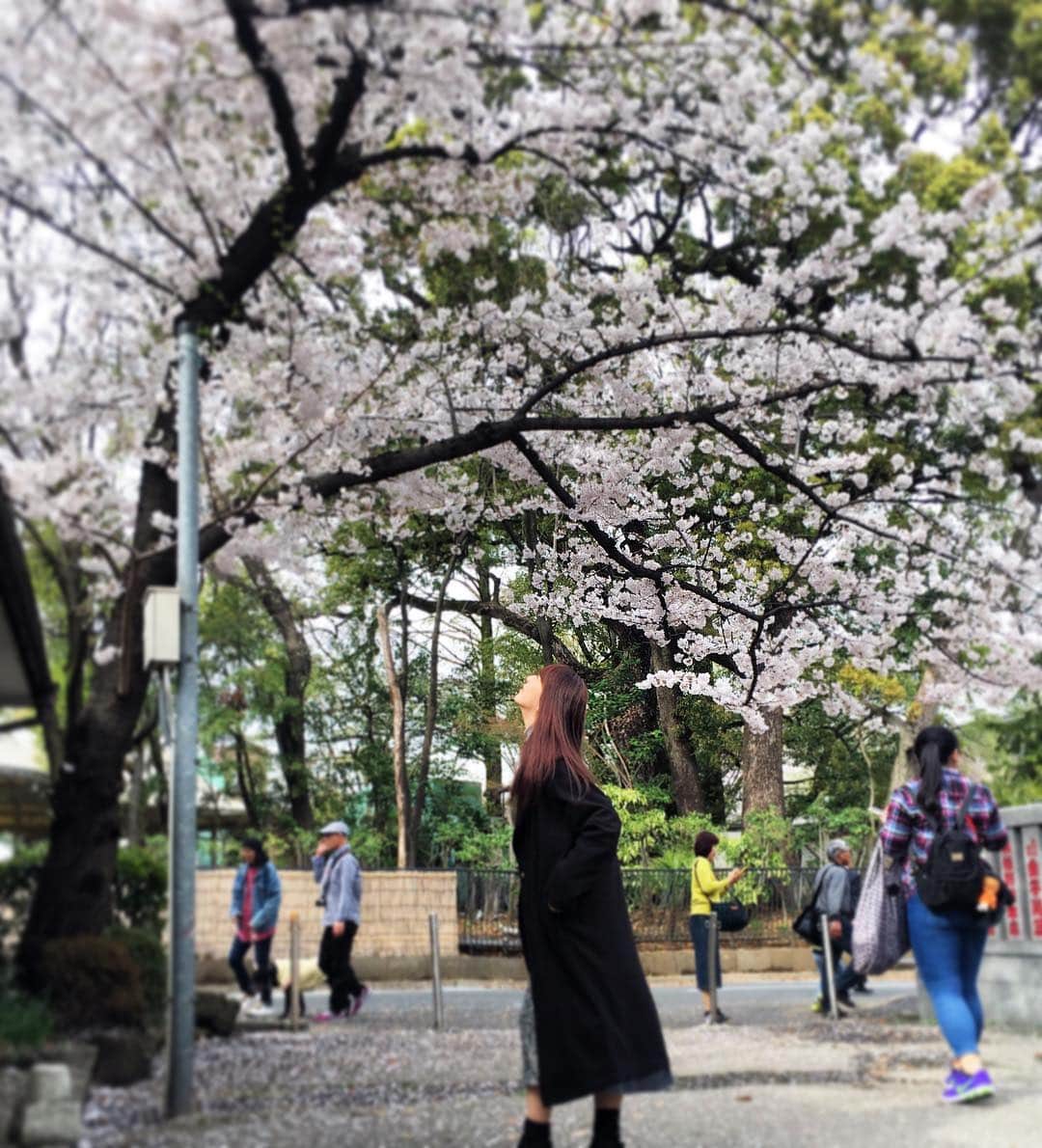 神室舞衣さんのインスタグラム写真 - (神室舞衣Instagram)「#🌸」4月4日 21時28分 - maikamuro.official