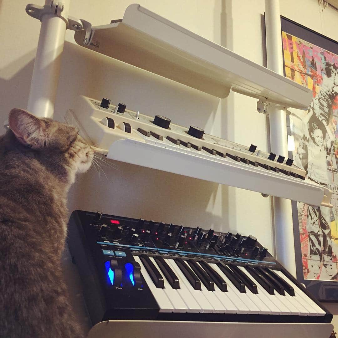 DJ Komoriのインスタグラム