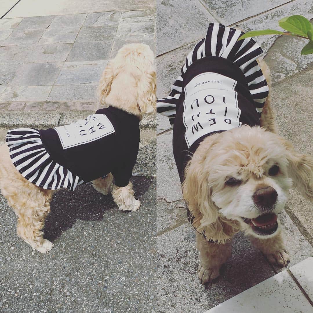 笛木優子のインスタグラム：「撮影の合間に癒されに。。。🐶 BE WITH YOU 💋#hutsandbay」