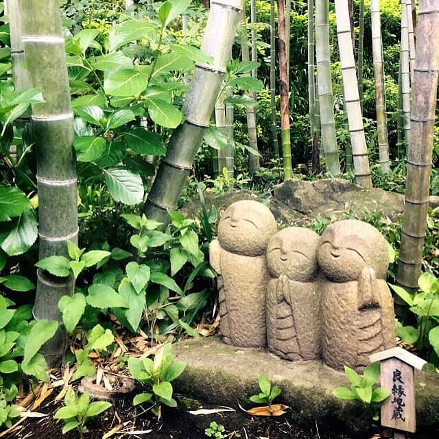 村上佳佑のインスタグラム：「長谷寺に行ってきました！！」
