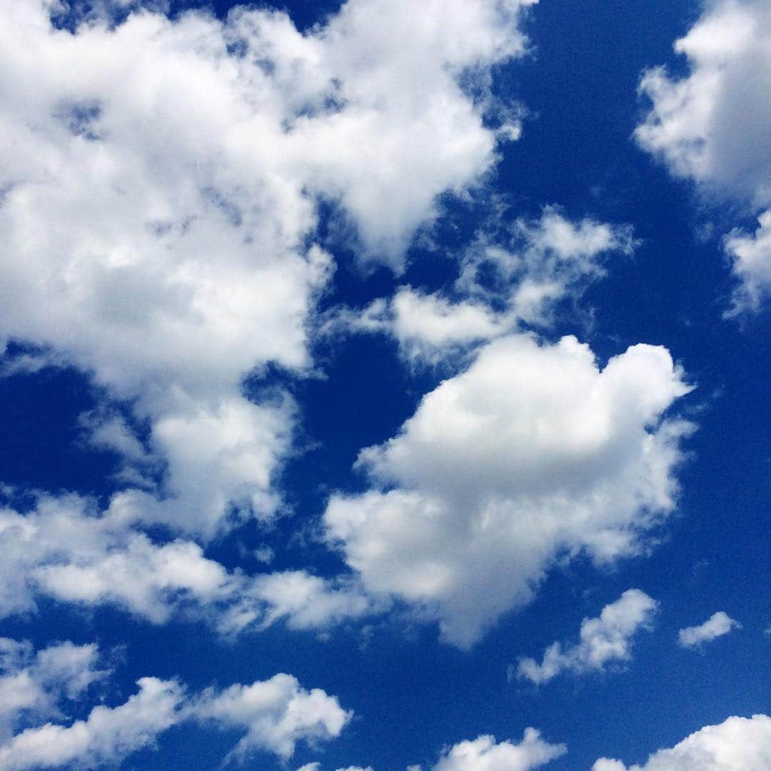 ZIP!さんのインスタグラム写真 - (ZIP!Instagram)「☀️綺麗な青い空。そして白い雲☁️ こんな時、ついついZの形をした雲を探してしまいます。👀 #GW #連休２日目 #昼下がり #Z雲 #とあるスタッフの休日 #東京 #いまそら #ziptv」4月30日 14時35分 - ntvzip