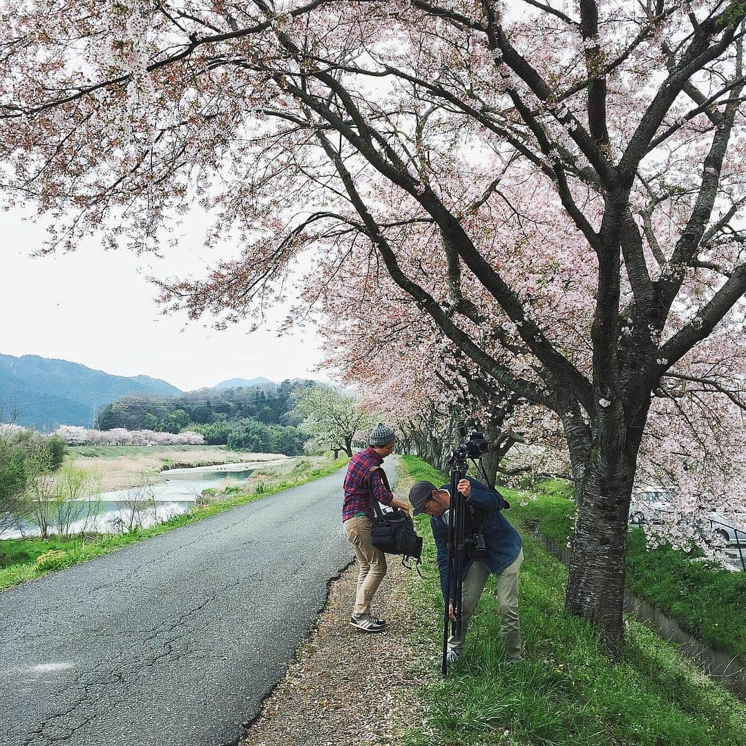 junkoさんのインスタグラム写真 - (junkoInstagram)「🌸🌸🌸 2年ぶりのいとう写真館 篠山にて家族写真を。 本当は6さんの店内で撮ってもらうつもりでいたけど、先方の粋な計らいで桜がまだ残る近くの河川敷で。 いざ写真を撮ってもらう時に、夫とパンツが色違いのお揃いということに気づき、 お互いに「うそやろ・・ちょっと嫌・・なんでなん・・なんでそれ履いてきたん・・」という空気が6年目夫婦の悲しい現実を語っていた。 あ、ちなみに👙じゃなくて👖ね。」4月10日 17時09分 - juuuuuuww