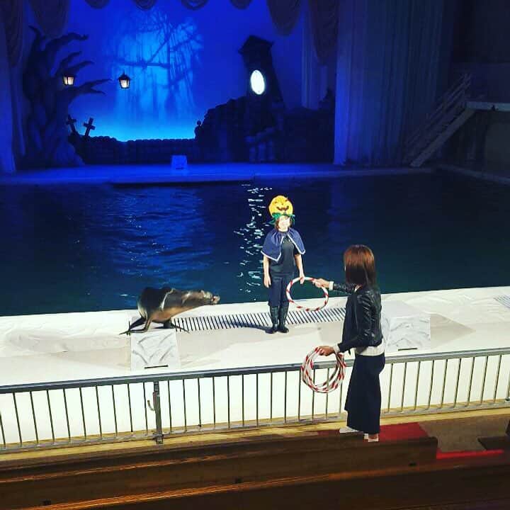 相武紗季のインスタグラム：「いるかとあしかのショーのお手伝い👀✨#油壺マリンパーク」