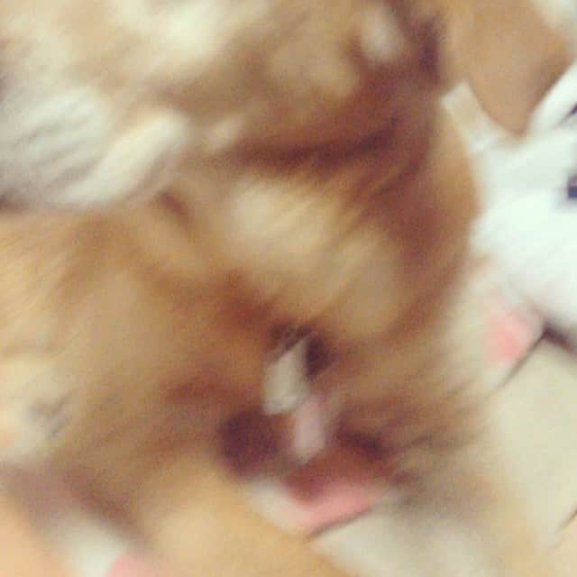 内田 菜々のインスタグラム