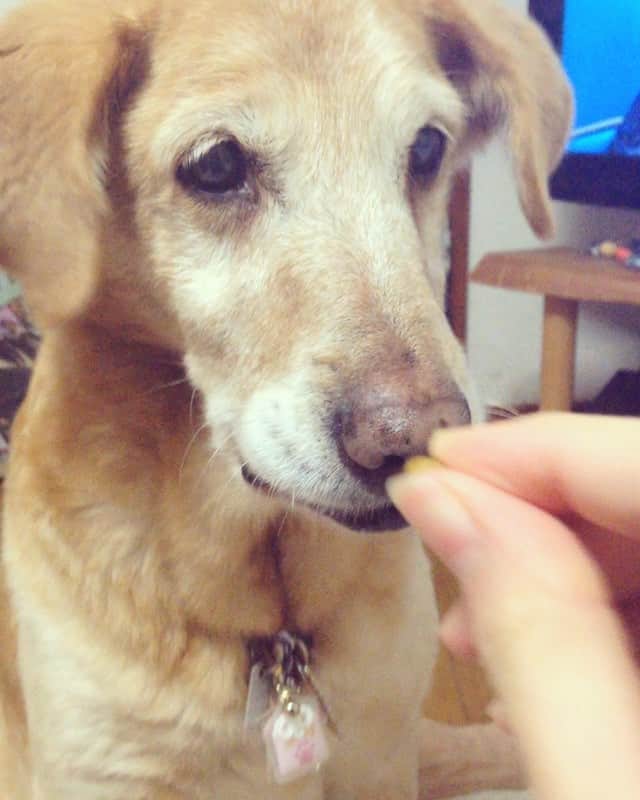 内田 菜々のインスタグラム