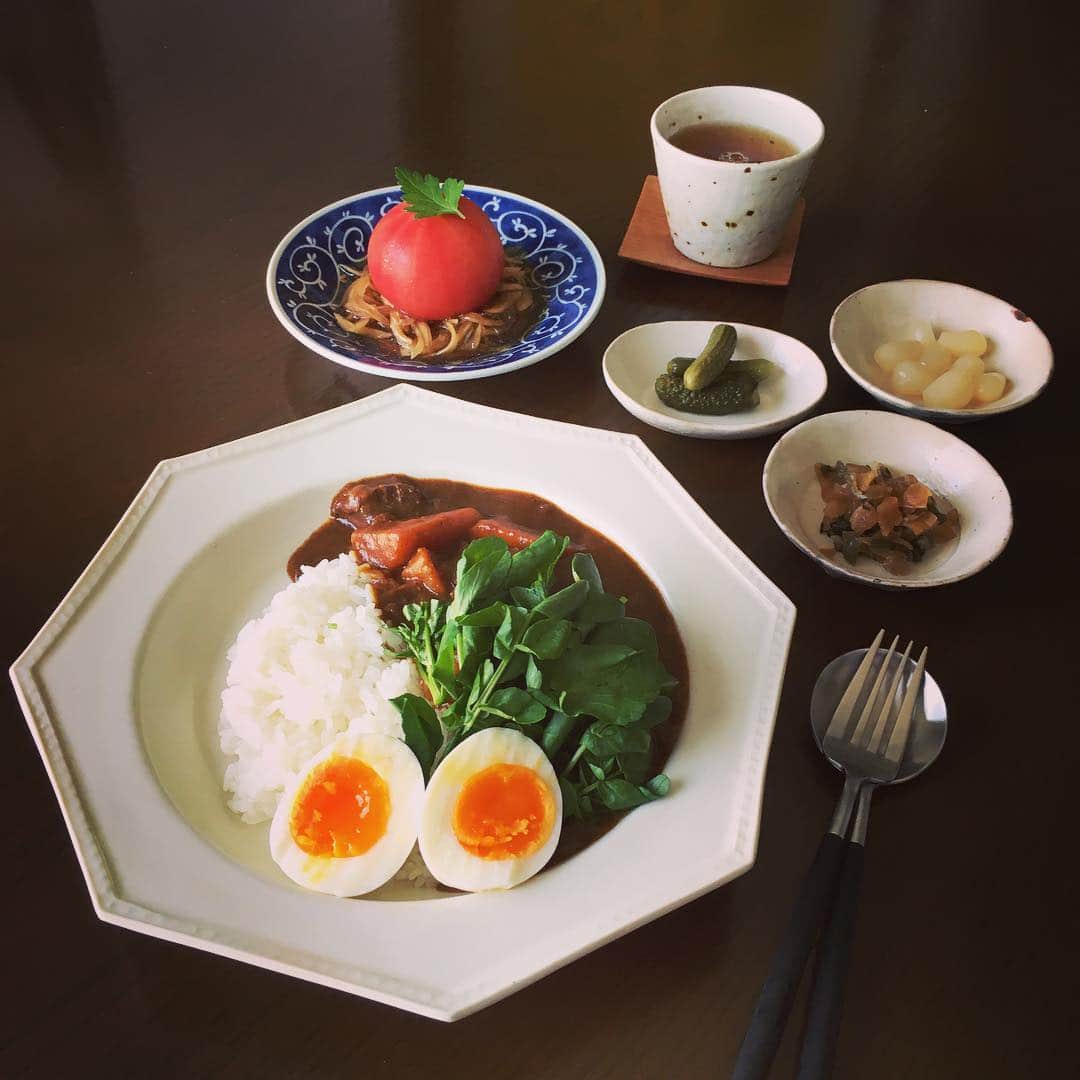 志摩有子さんのインスタグラム写真 - (志摩有子Instagram)「3日目のカレーでランチ。ゆで卵とクレソン添えて。馴染んでうまし。 #fridaycurry #ビーフカレー #3日目のカレー #阿部慎太郎」4月15日 13時16分 - ariko418
