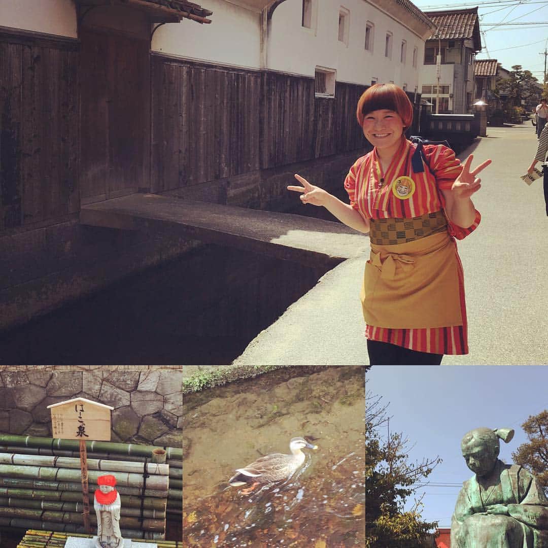 和田美枝さんのインスタグラム写真 - (和田美枝Instagram)「のどか〜  #鳥取県 #流れに逆らって泳ぐ鴨 #街並みに着物娘がピッタリ」4月15日 14時54分 - miewada