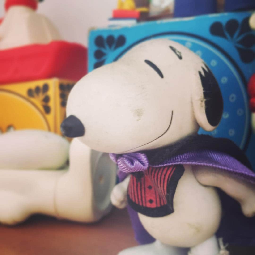 ピーナッツ カフェのグルメインスタ