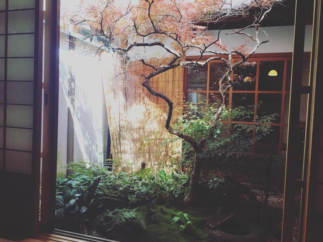 前川香緒里さんのインスタグラム写真 - (前川香緒里Instagram)「「粟」ならまち。🍁🍂🏮 #lunch #奈良町 #naramachi #奈良 #nara #日本 #japan  #粟 #awa #粟ならまち #日本食 #japanesefood  両親との顔合わせは私が生まれ育った 奈良の食材をふんだんに使ったお料理を頂ける、 「粟」ならまちさんで。」4月17日 16時21分 - i_am_kaori_m