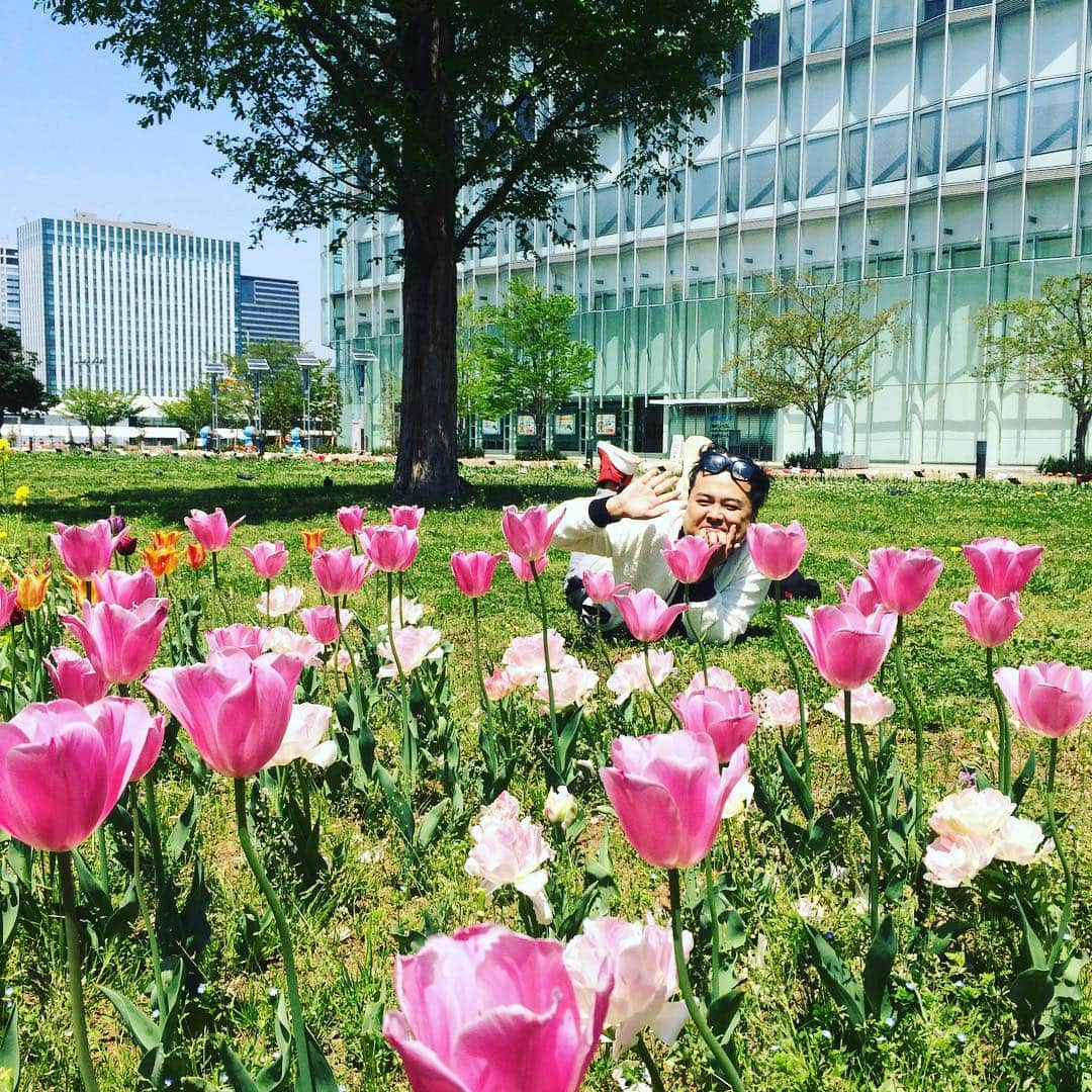 久保田和靖さんのインスタグラム写真 - (久保田和靖Instagram)「芸風とのギャップ写真コンテストがあれば入選だな。  花がブサイクをいかしてるのか、  ブサイクが花をいかしてるのか。  贅沢は言わない花の肥料でありたい。  #フジテレビの庭にて #IPPONグランプリ終了後 #撮影者天竺鼠川原 #flower #love」4月20日 16時23分 - kubotakazunobu