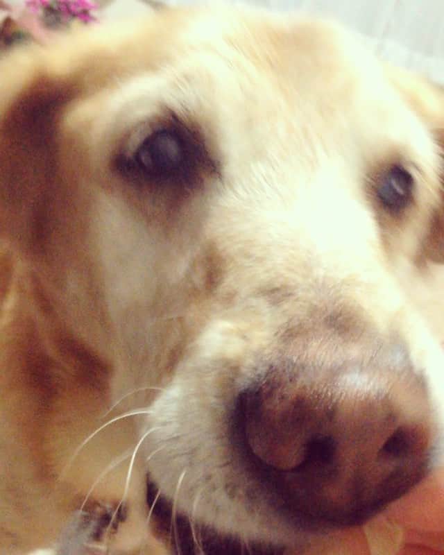 内田 菜々のインスタグラム