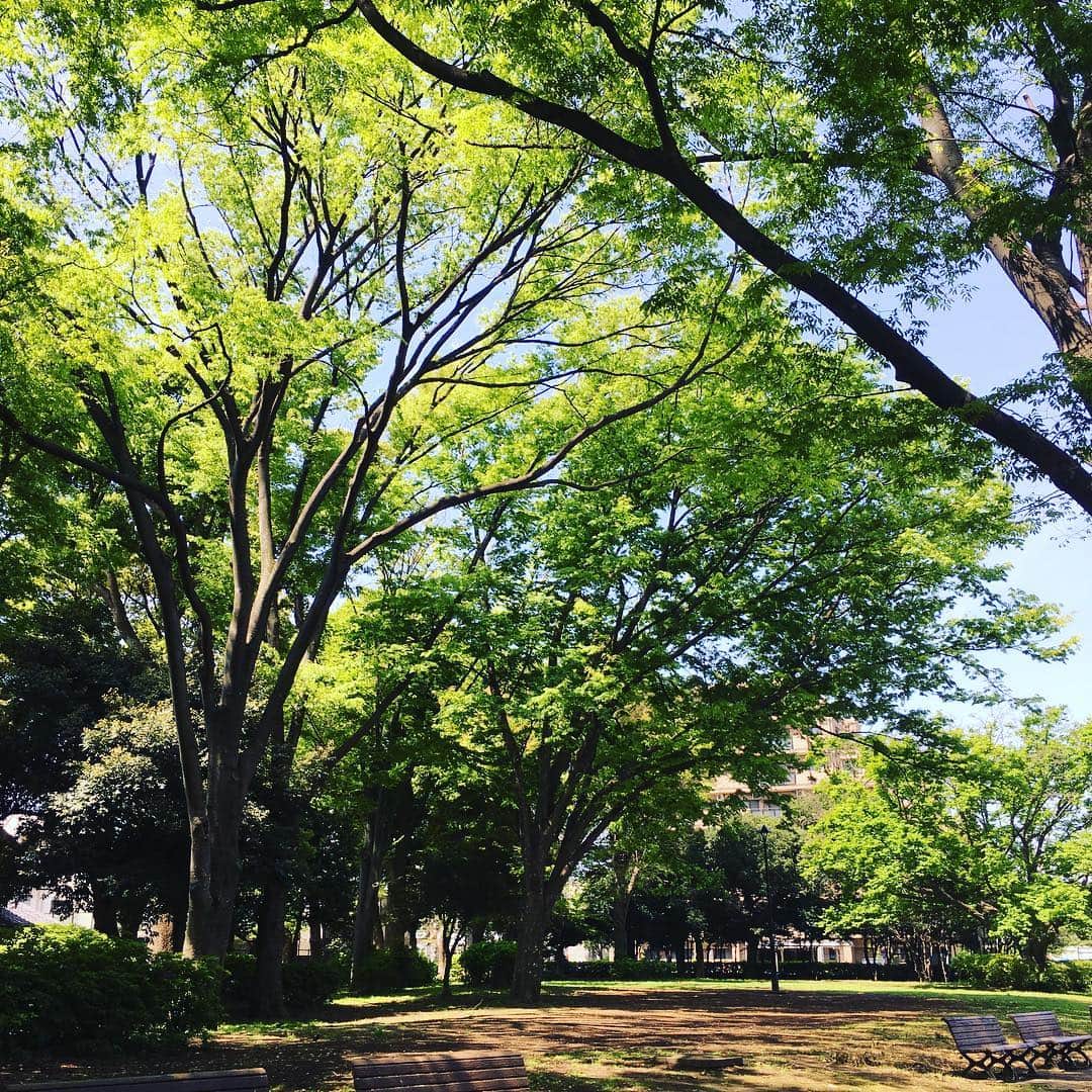 志摩有子さんのインスタグラム写真 - (志摩有子Instagram)「新緑の季節の始まり。最高のロケ日和。気持ちよすぎる🍀💚 #verymagazine #shooting #park #新緑の季節 #ロケ日和」4月22日 11時35分 - ariko418
