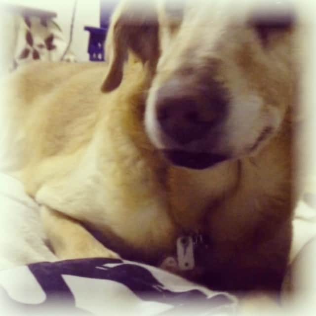 内田 菜々のインスタグラム