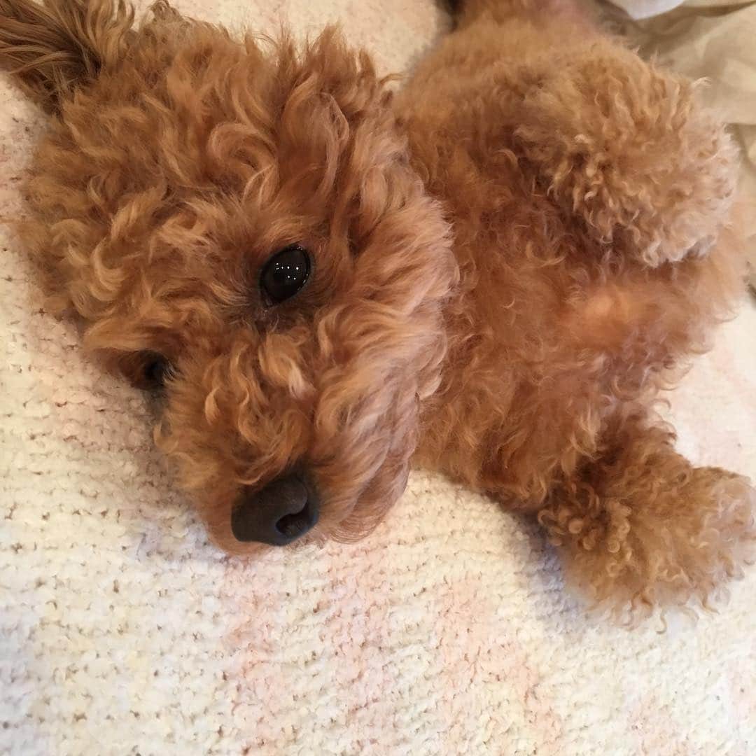 のインスタグラム：「あろはー✨ #宮崎宣子」