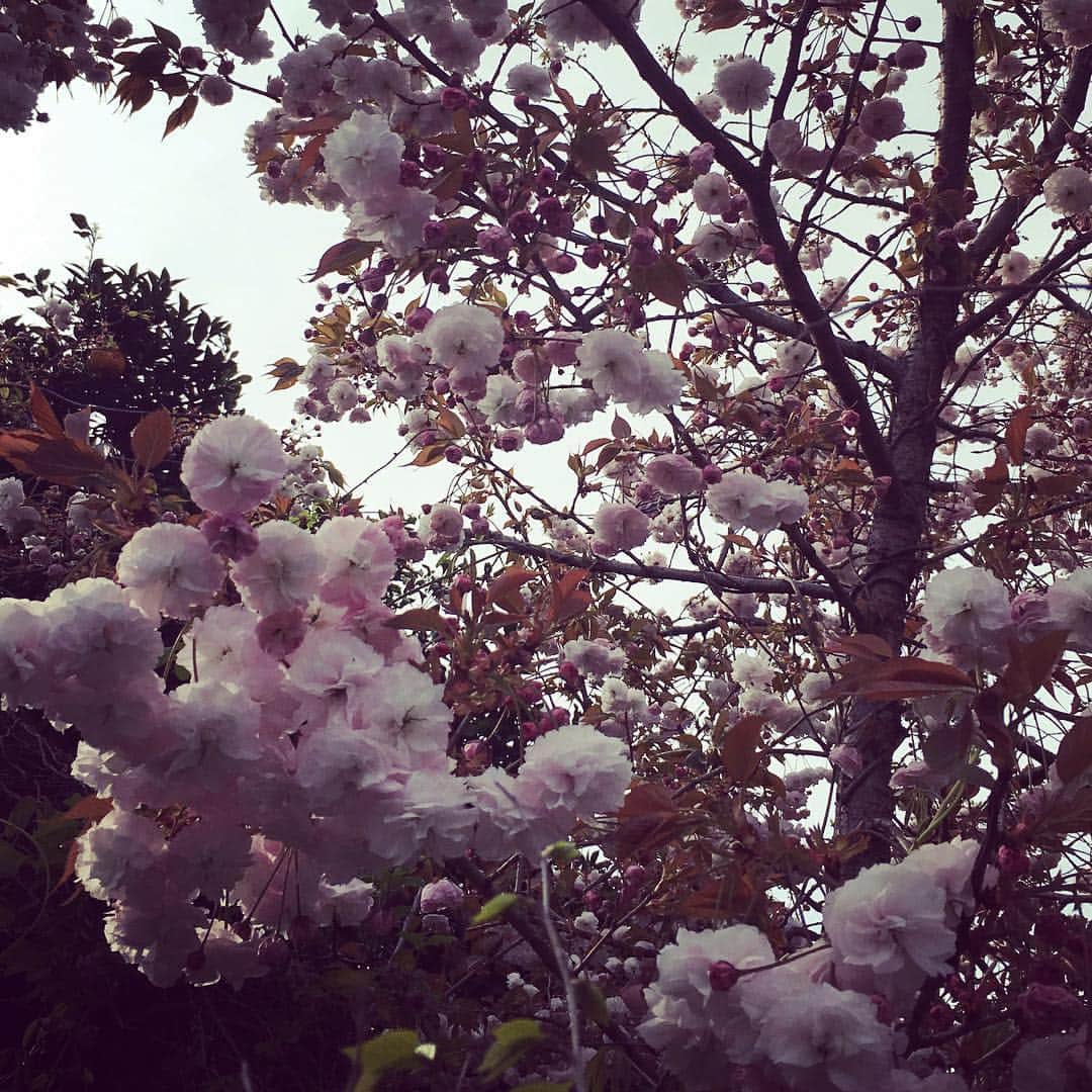笛木優子のインスタグラム：「里桜🌸」