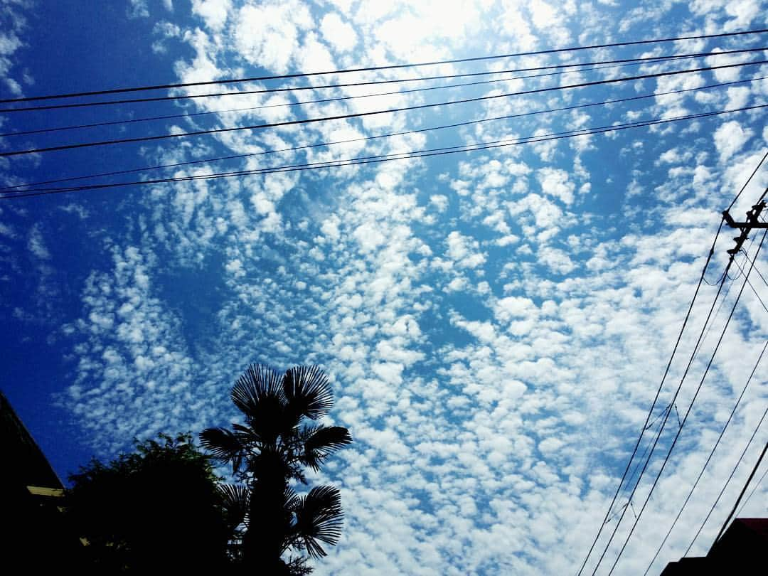 山本崇史さんのインスタグラム写真 - (山本崇史Instagram)「2016年5月29日の空😌雲が鮮やかな空でした。 #空#雲#galaxynote3 #samsung」5月29日 15時49分 - tkcnophoto