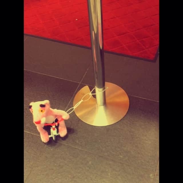 岡崎和寛さんのインスタグラム (岡崎和寛kazuhiro_okazaki)