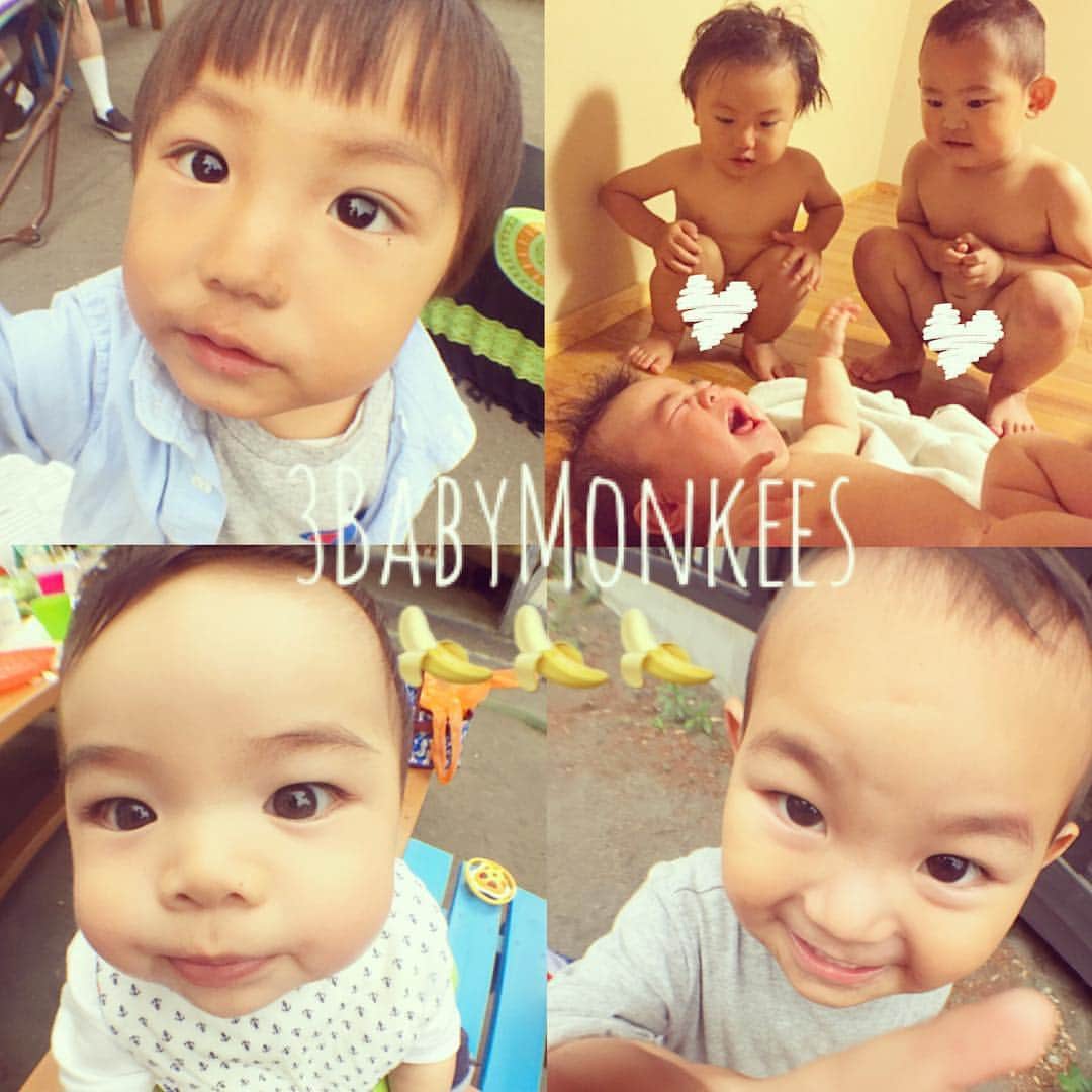 齋藤美波のインスタグラム：「✴︎ #BabyMonkees 熊倉エイト 2歳 金子一稀  1歳 大迫武玄  0歳 My angel's👶🏻👶🏻👶🏻❤️✨ ・ ・ #1歳差 #幼馴染 #男の子 #friends #baby #cute #boy #love #forever #happy」