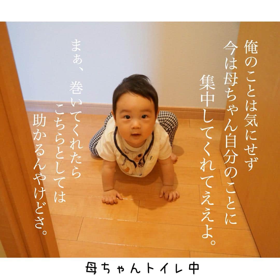 makikoさんのインスタグラム写真 - (makikoInstagram)「❤︎ ママの姿が見えなくなると泣き出すので、常にエイトの視界に入るようになってます。 ．  #後追い #追われへんけど #常に監視下  #生後253日目 #生後8ヶ月 #親バカ部  #新米ママ #乳児 #男の子」5月27日 14時05分 - batako93