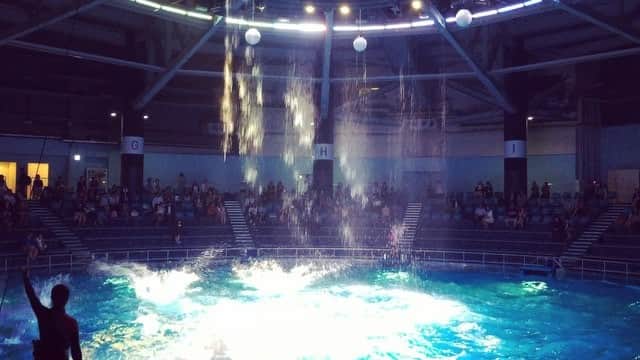 のインスタグラム：「お目当は”花美HaNa-Bi aquarium by,NAKED”  感動。生き物って素敵だ✨ #aquarium#goodtime#dolphinshow#friend#hanabi#nightshow#beautiful#fun#花美#癒し」