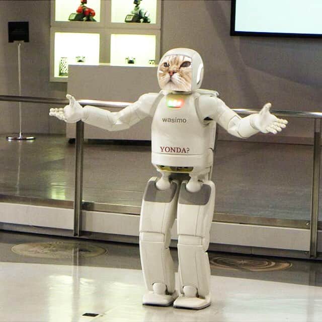 さなちゃろうのインスタグラム：「Ladies & gentlemen〜🤖♥️ 新商品のご案内ですにゃ✨一家に一台、さなちゃロボはいかがかにゃ❓  #チンチラ #ペルシャ #cat #ねこ部 #love」