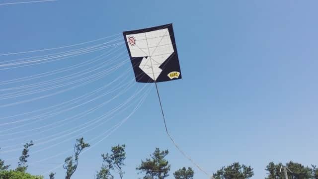 Najiiのインスタグラム：「flyingkite  #浜松まつり #土曜日の小旅行」