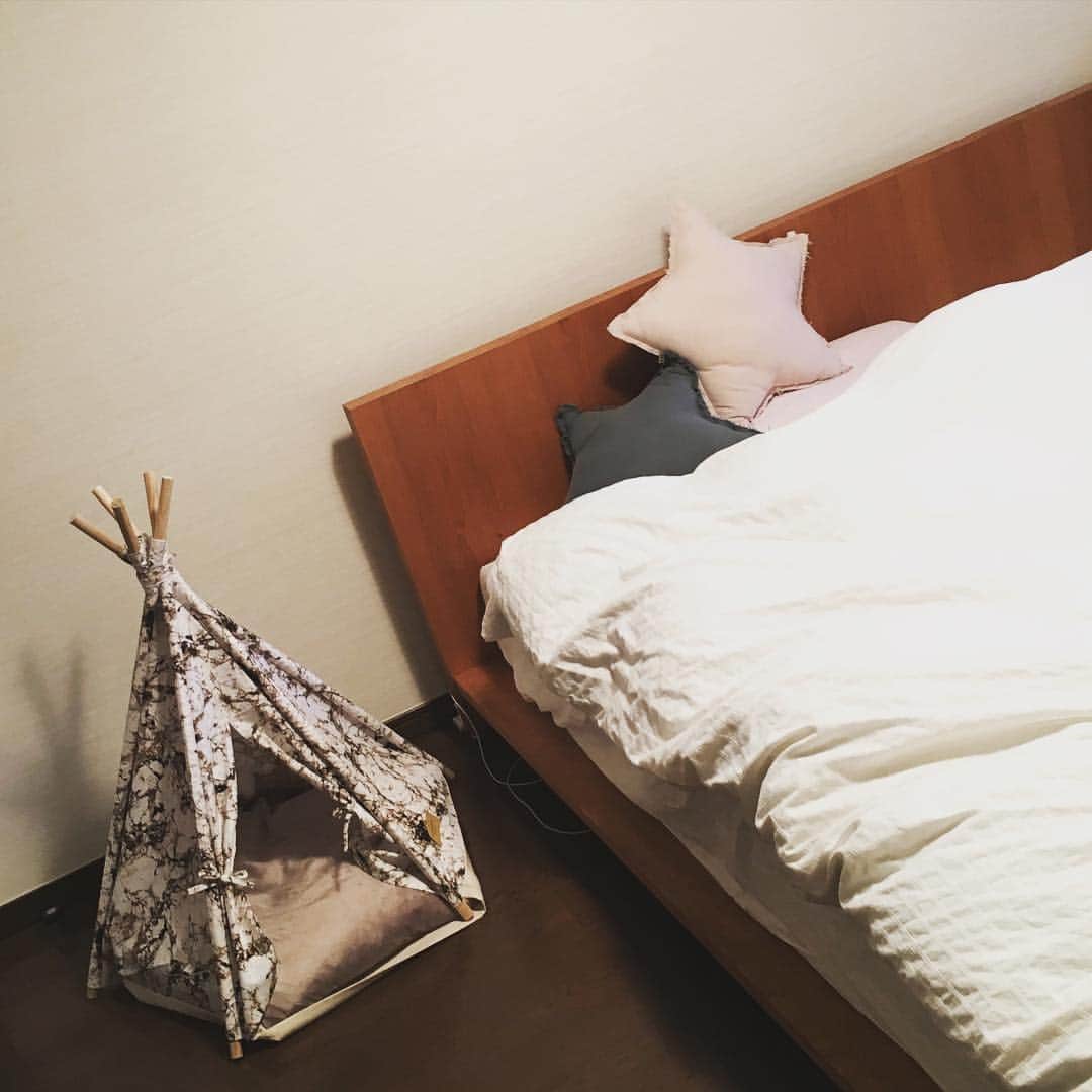 笛木優子のインスタグラム：「🐶🏠⛺️💓 犬テント！ #hutsandbay#teepee」