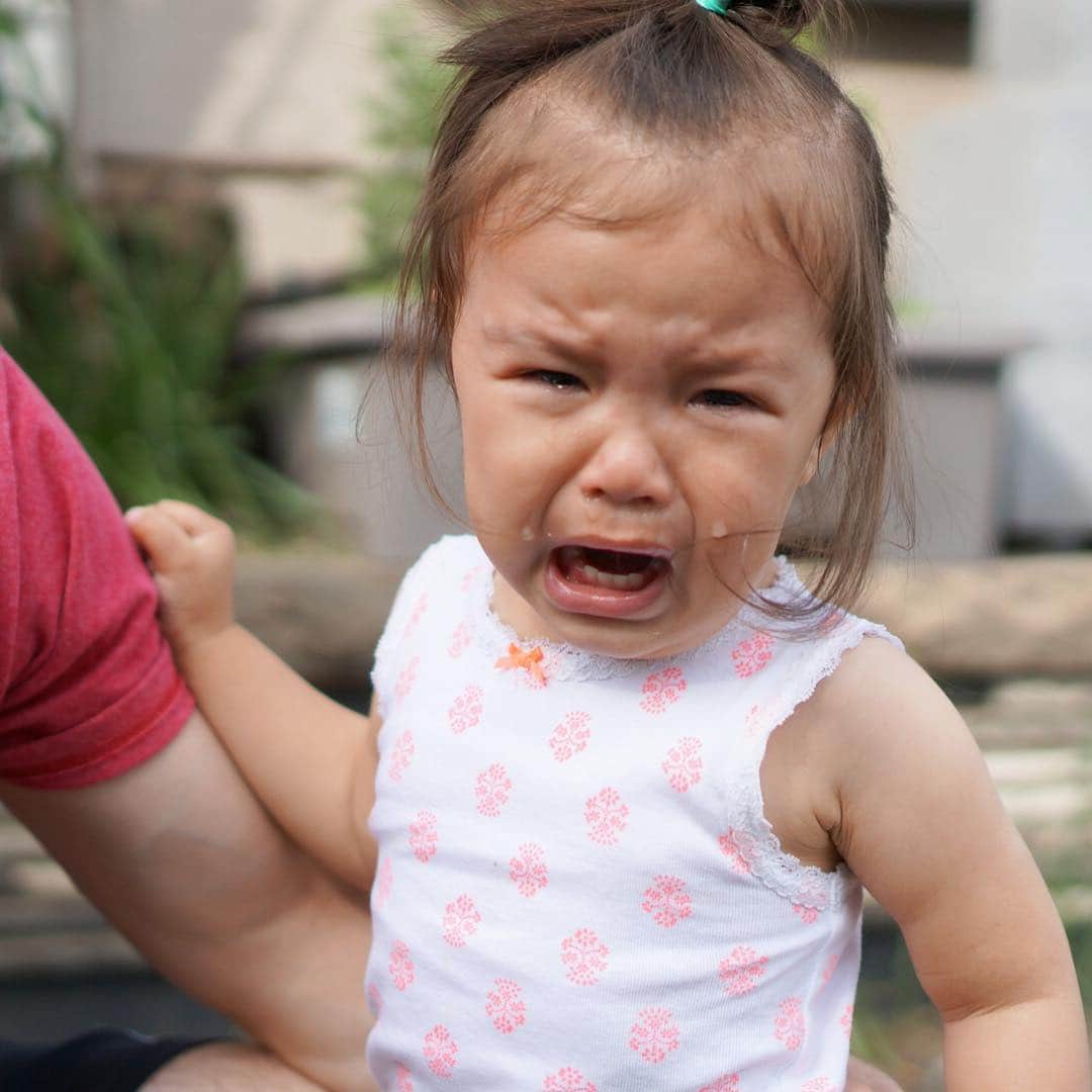 バイリンガル3兄妹さんのインスタグラム写真 - (バイリンガル3兄妹Instagram)「その後転んだんで鬼瓦さん泣き。  #鬼瓦さん #はなち #1歳8ヶ月」5月8日 17時22分 - yucgram