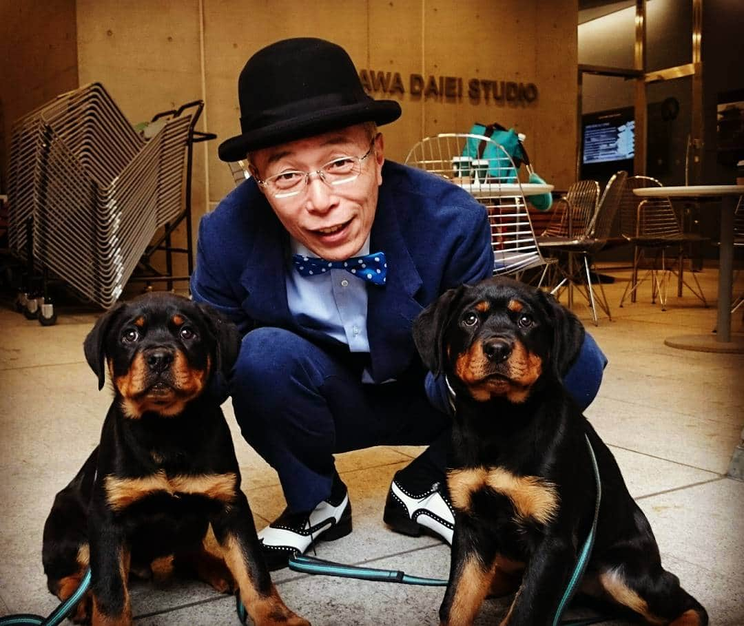 世田谷ベースさんのインスタグラム写真 - (世田谷ベースInstagram)「所さんの愛犬ケリーの子供達 ケリコとケリオ  朝散歩すると気持ちいい‼  #所ジョージ#世田谷ベース#子犬#ドイツ#ロットワイラー#ロッティ#rottweiler #dogs #pupy #rottie」5月9日 7時49分 - soumu_yuichiro